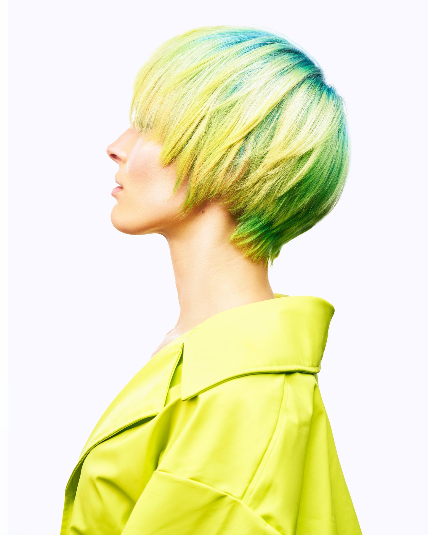 PROFESSIONAL HAIR BRANDS EDUCATION